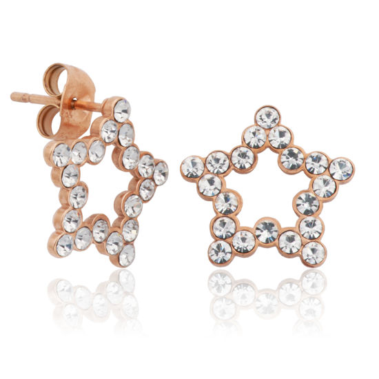 Image sur Boucles d'oreilles en acier inoxydable rose T2XA970100 de la Collection Steelx